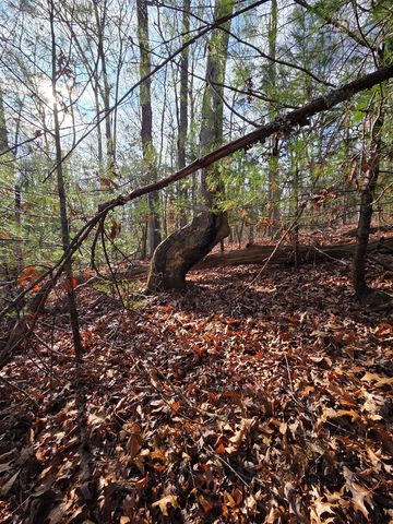 Lot 4 Ch Colwell Drive, Blairsville, GA 30512