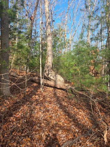 Lot 4 Ch Colwell Drive, Blairsville, GA 30512