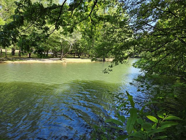 Lot 4 Ch Colwell Drive, Blairsville, GA 30512
