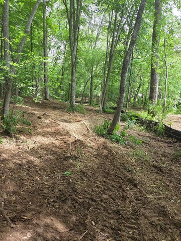 Lot 4 Ch Colwell Drive, Blairsville, GA 30512