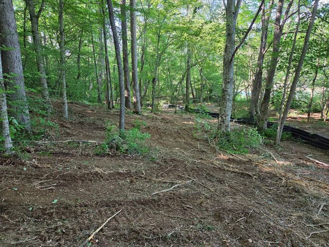 Lot 4 Ch Colwell Drive, Blairsville, GA 30512