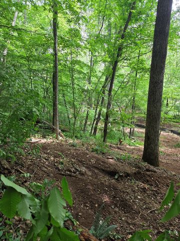Lot 4 Ch Colwell Drive, Blairsville, GA 30512