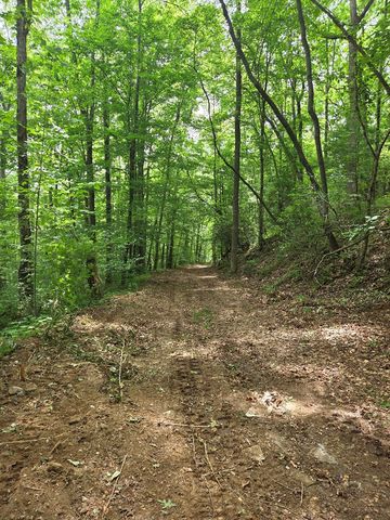 Lot 4 Ch Colwell Drive, Blairsville, GA 30512