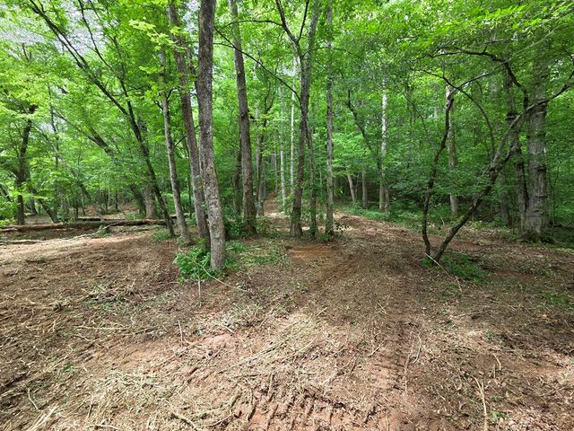 Lot 4 Ch Colwell Drive, Blairsville, GA 30512