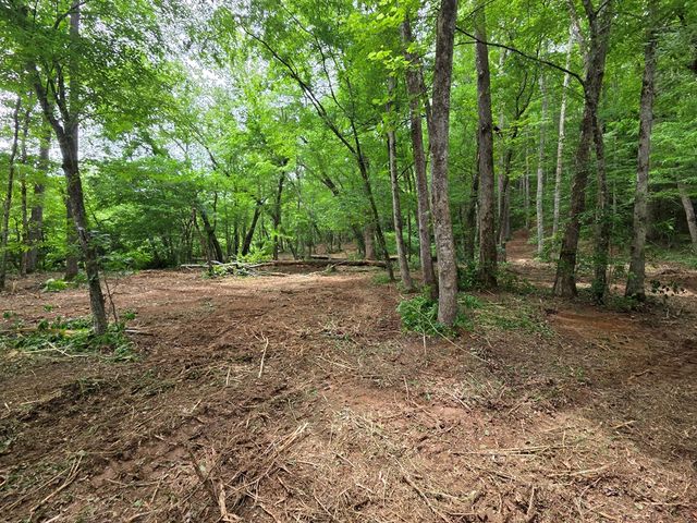 Lot 4 Ch Colwell Drive, Blairsville, GA 30512