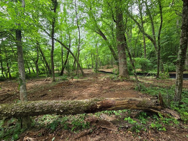 Lot 4 Ch Colwell Drive, Blairsville, GA 30512