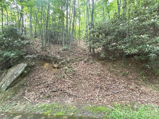 000 Valley View Drive 14, Maggie Valley, NC 28751