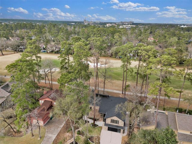 20 Buttonbush Ct, The Woodlands, TX 77380