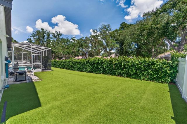 3926 NORTHRIDGE DRIVE, Valrico, FL 33596