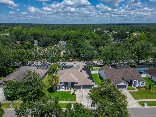 3926 NORTHRIDGE DRIVE, Valrico, FL 33596