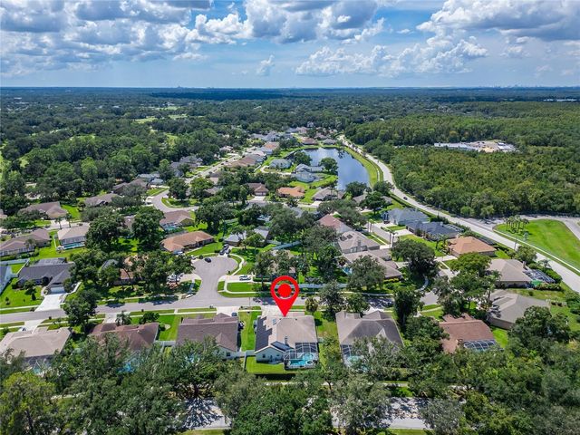 3926 NORTHRIDGE DRIVE, Valrico, FL 33596
