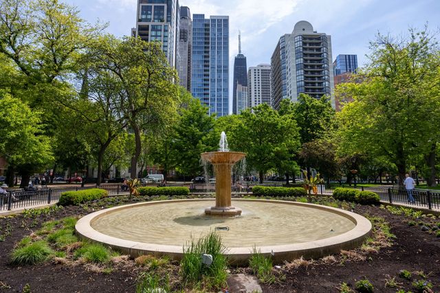 1140 N La Salle Drive 520, Chicago, IL 60610