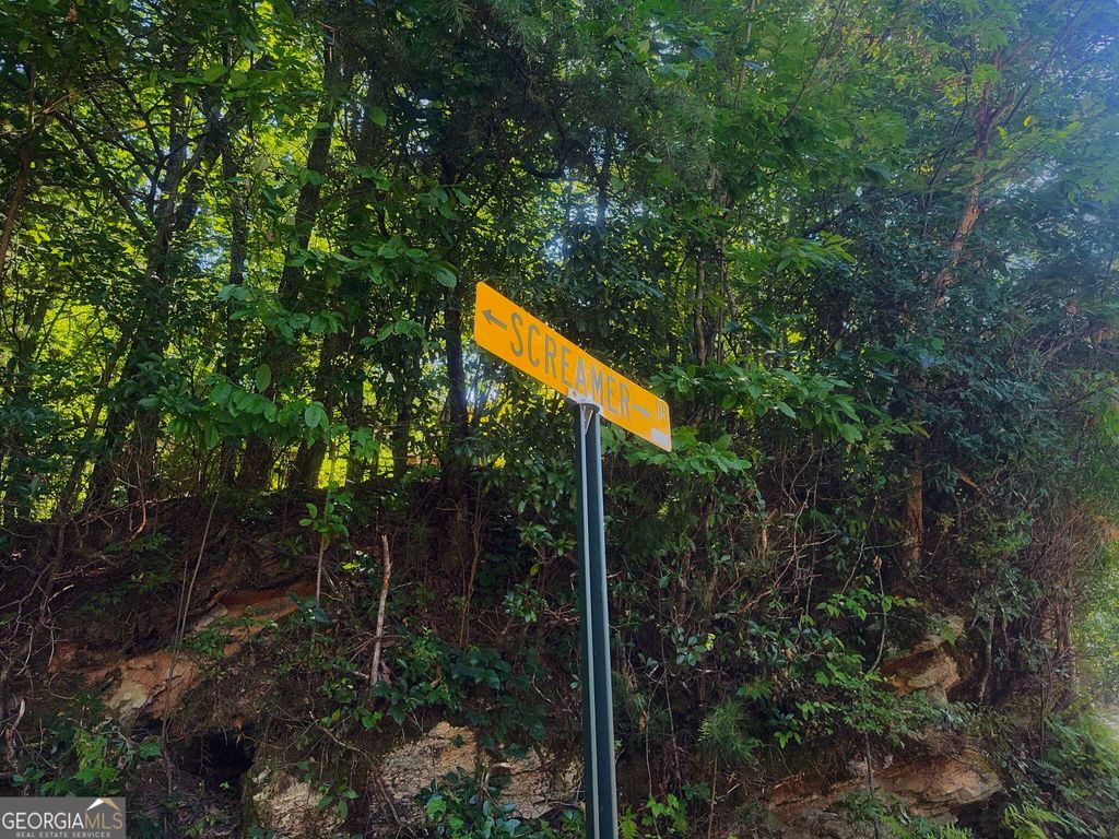 0 Screamer Drive, Clayton, GA 30525 — photo 3