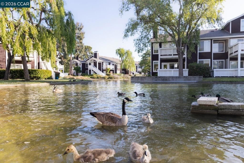 Image 20 of property listing at 99 Marina Lakes Dr, Richmond, CA 94804