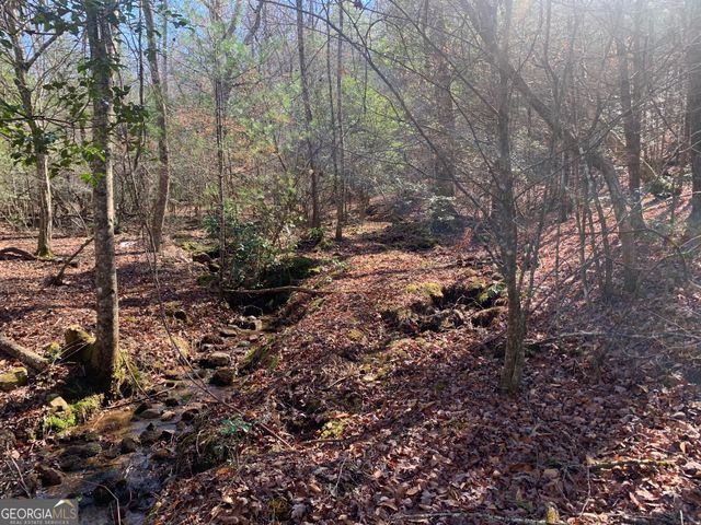 0 East New Hope Road TRACT B, Ellijay, GA 30536