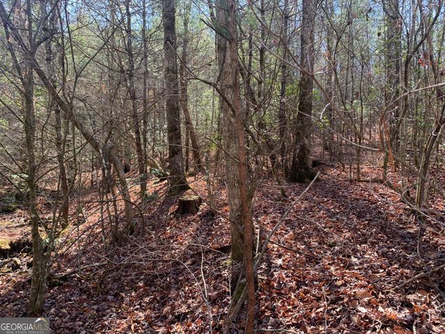 0 East New Hope Road TRACT B, Ellijay, GA 30536