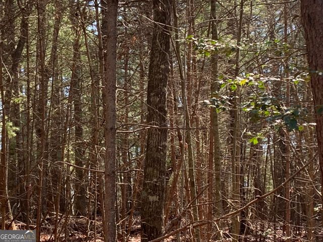 0 East New Hope Road TRACT B, Ellijay, GA 30536