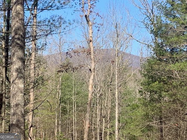 0 East New Hope Road TRACT B, Ellijay, GA 30536