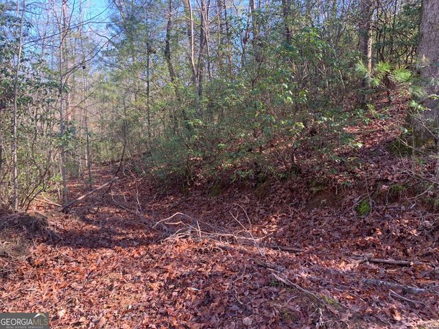 0 East New Hope Road TRACT B, Ellijay, GA 30536