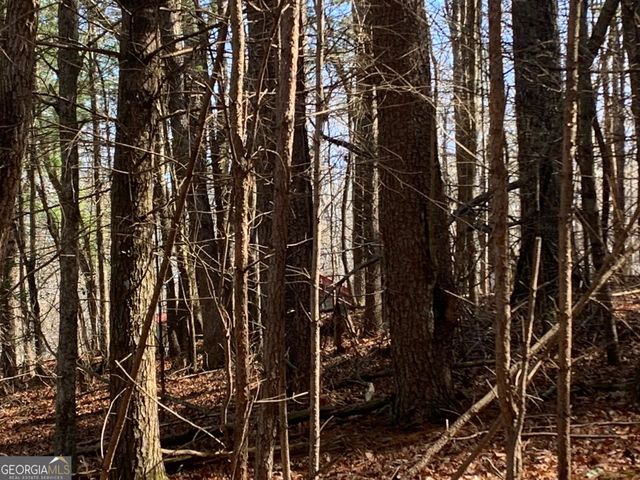 0 East New Hope Road TRACT B, Ellijay, GA 30536