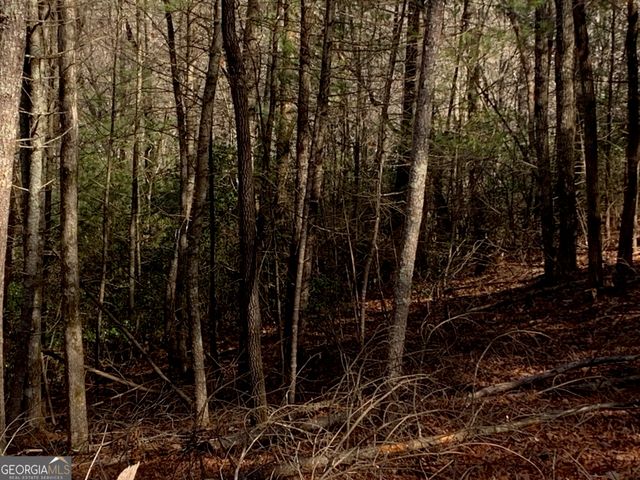 0 East New Hope Road TRACT B, Ellijay, GA 30536