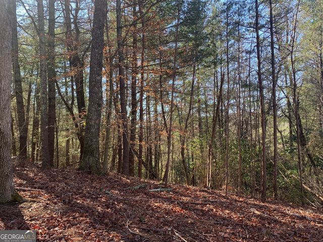 0 East New Hope Road TRACT B, Ellijay, GA 30536