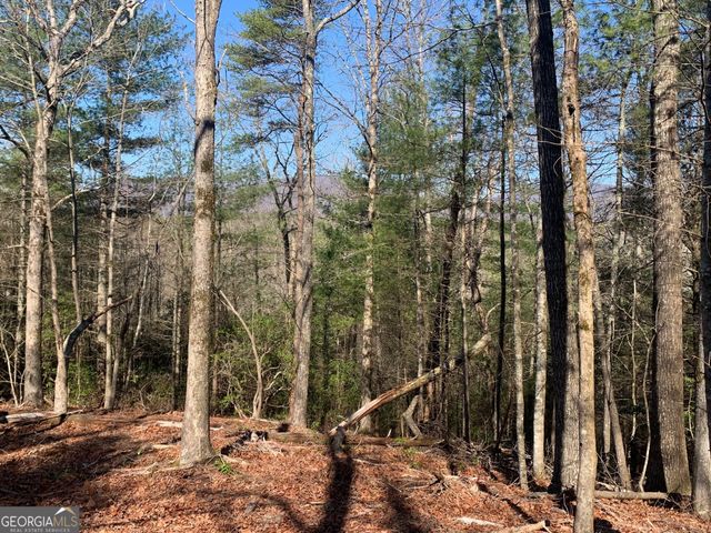 0 East New Hope Road TRACT B, Ellijay, GA 30536