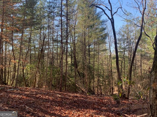 0 East New Hope Road TRACT B, Ellijay, GA 30536