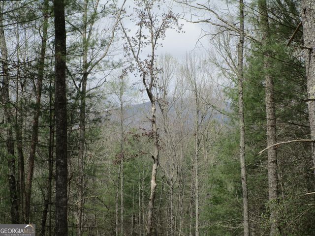 0 East New Hope Road TRACT B, Ellijay, GA 30536