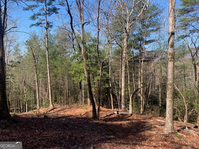 0 East New Hope Road TRACT B, Ellijay, GA 30536