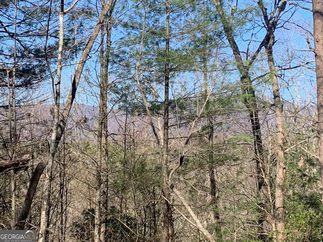 0 East New Hope Road TRACT B, Ellijay, GA 30536