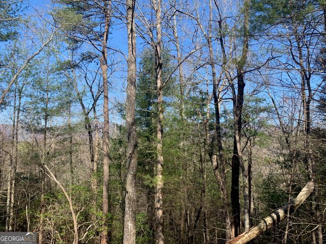 0 East New Hope Road TRACT B, Ellijay, GA 30536