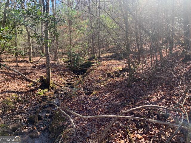 0 East New Hope Road TRACT B, Ellijay, GA 30536
