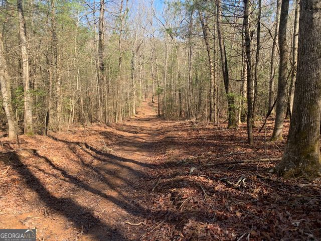 0 East New Hope Road TRACT B, Ellijay, GA 30536
