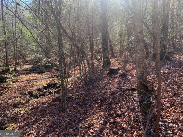 0 East New Hope Road TRACT B, Ellijay, GA 30536