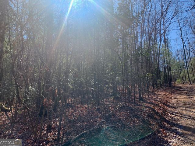 0 East New Hope Road TRACT B, Ellijay, GA 30536