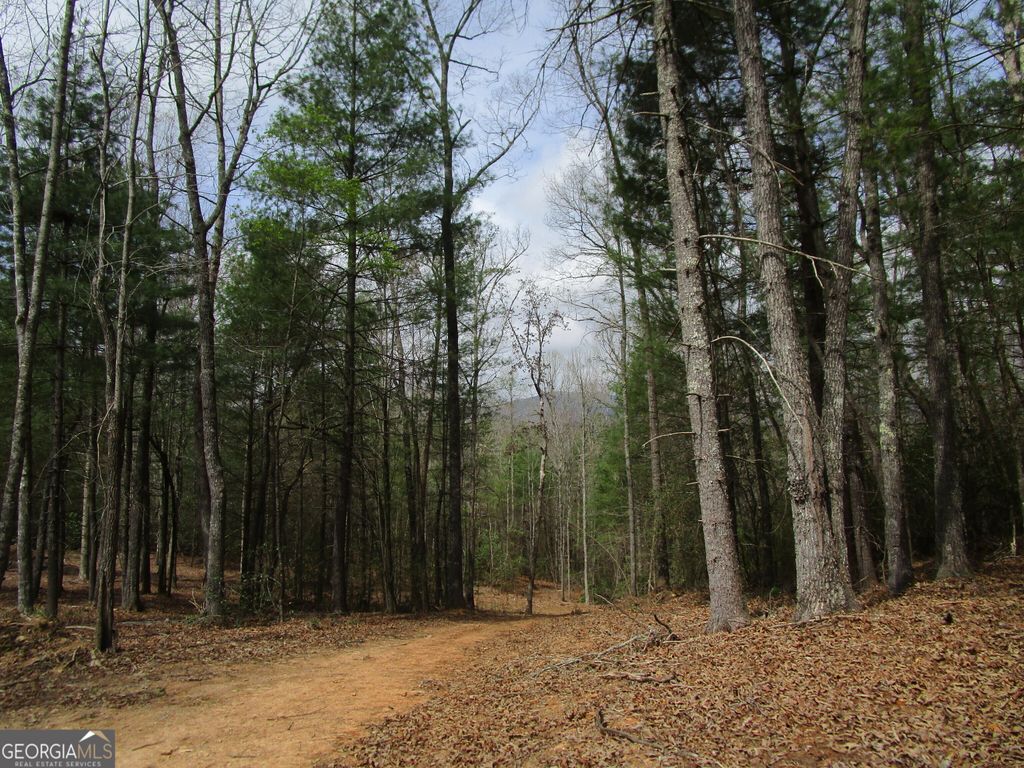 0 East New Hope Road TRACT B, Ellijay, GA 30536
