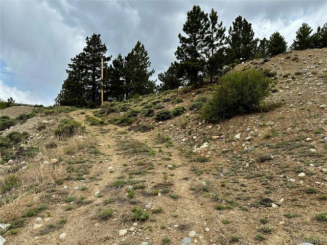 9 Mount Hope Drive, Twin Lakes, CO 81251