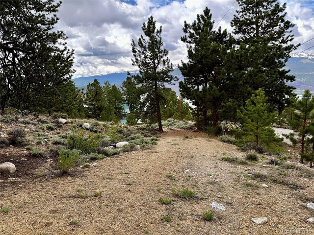 9 Mount Hope Drive, Twin Lakes, CO 81251