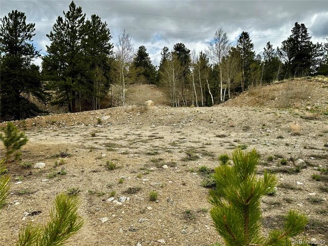 9 Mount Hope Drive, Twin Lakes, CO 81251