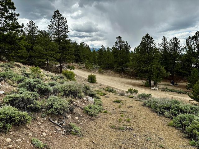 9 Mount Hope Drive, Twin Lakes, CO 81251
