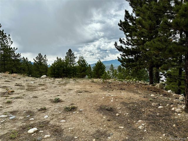 9 Mount Hope Drive, Twin Lakes, CO 81251