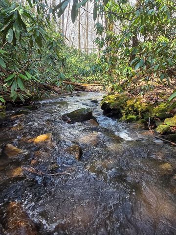 1104 Mill Creek Road, Robbinsville, NC 28771