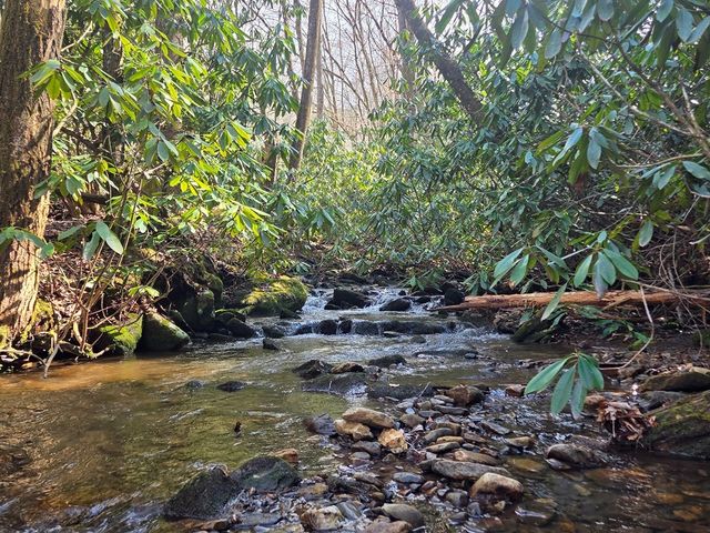 1104 Mill Creek Road, Robbinsville, NC 28771