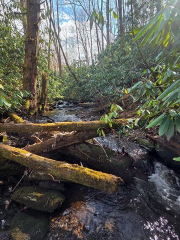 1104 Mill Creek Road, Robbinsville, NC 28771