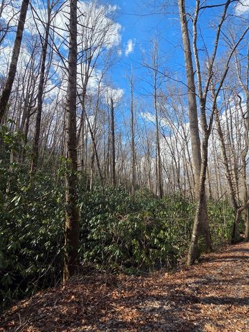 1104 Mill Creek Road, Robbinsville, NC 28771