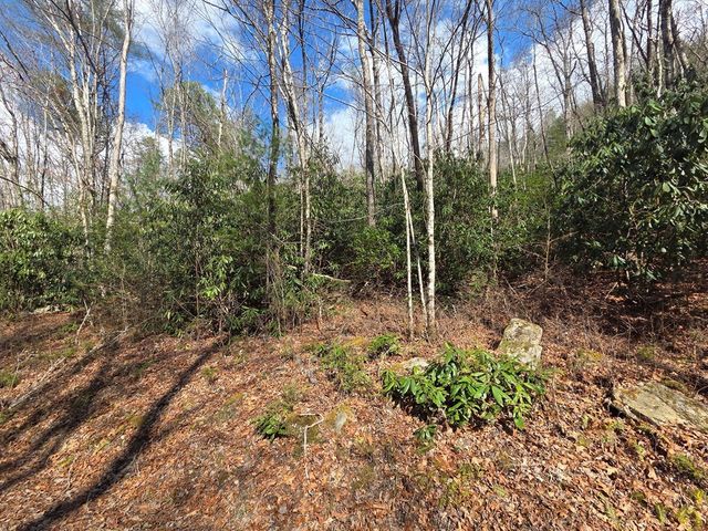 1104 Mill Creek Road, Robbinsville, NC 28771