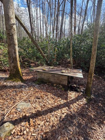1104 Mill Creek Road, Robbinsville, NC 28771