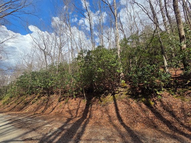 1104 Mill Creek Road, Robbinsville, NC 28771