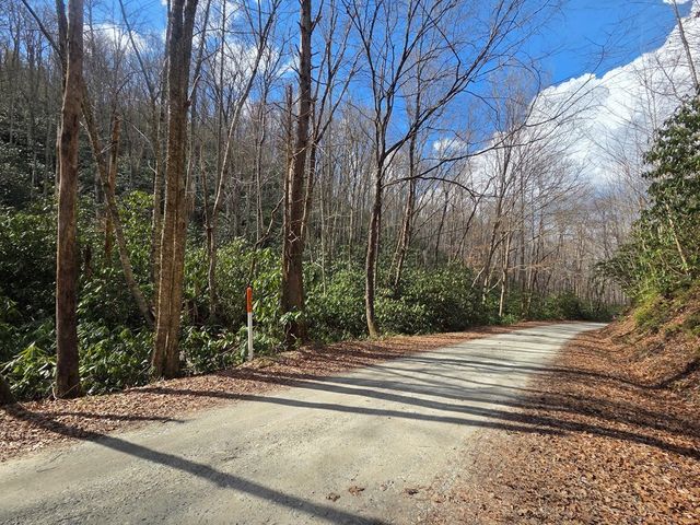 1104 Mill Creek Road, Robbinsville, NC 28771